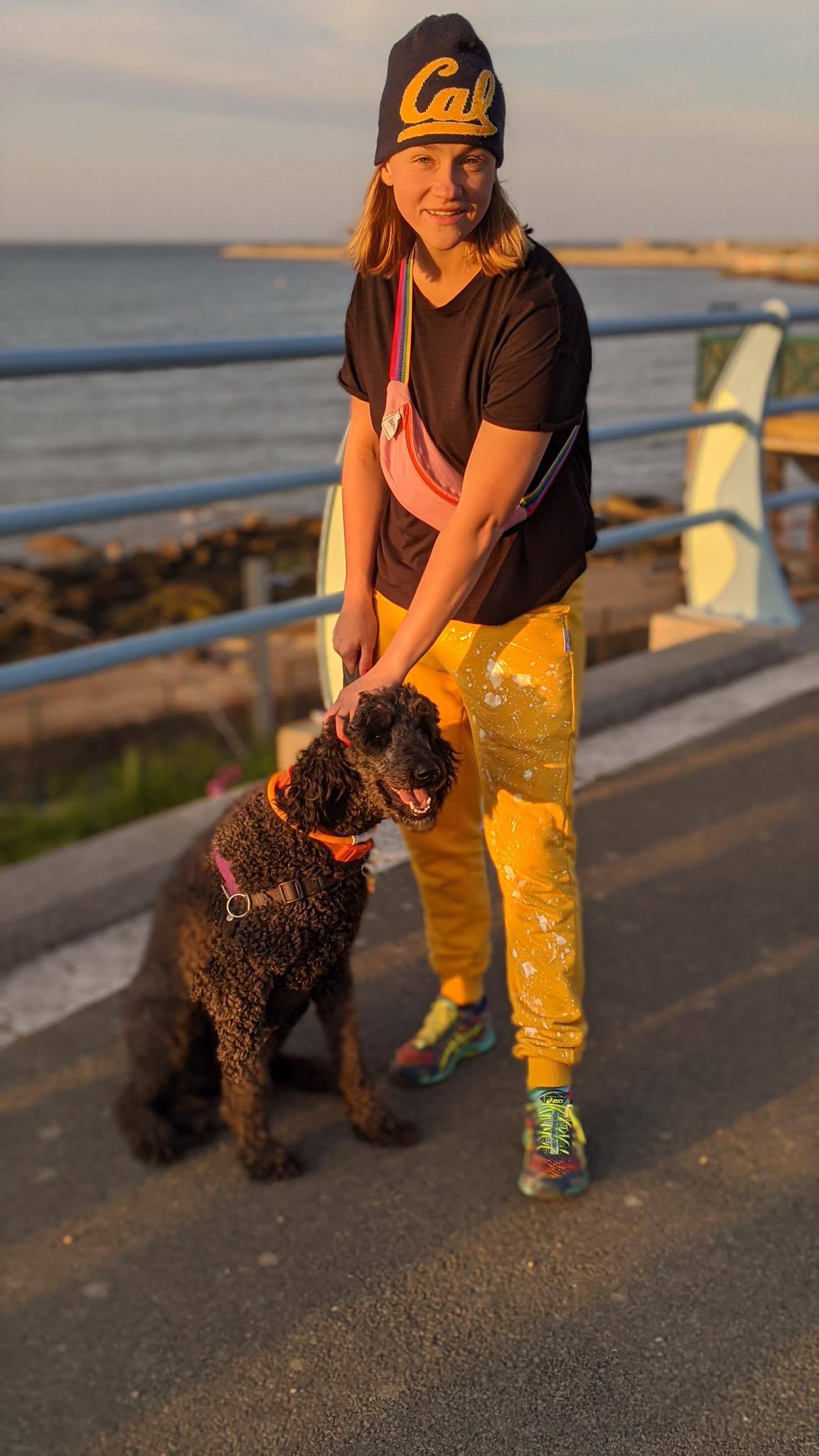 Spodnie dresowy żółte i pies